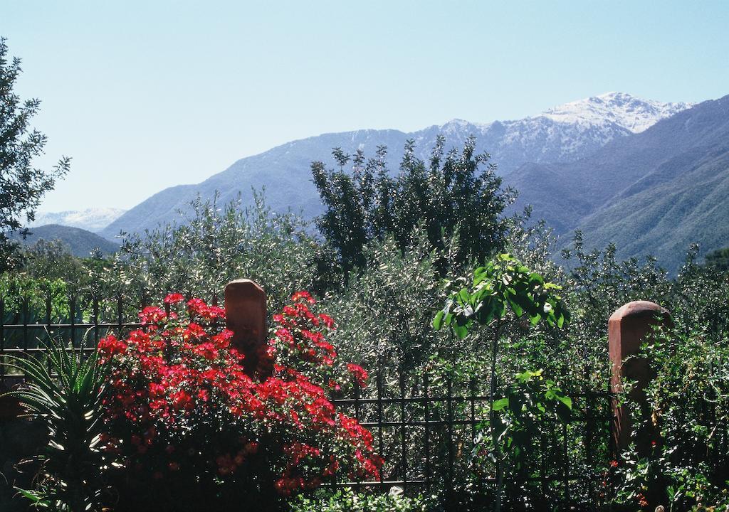 Domaine De La Roseraie Resort Ouirgane Exterior photo